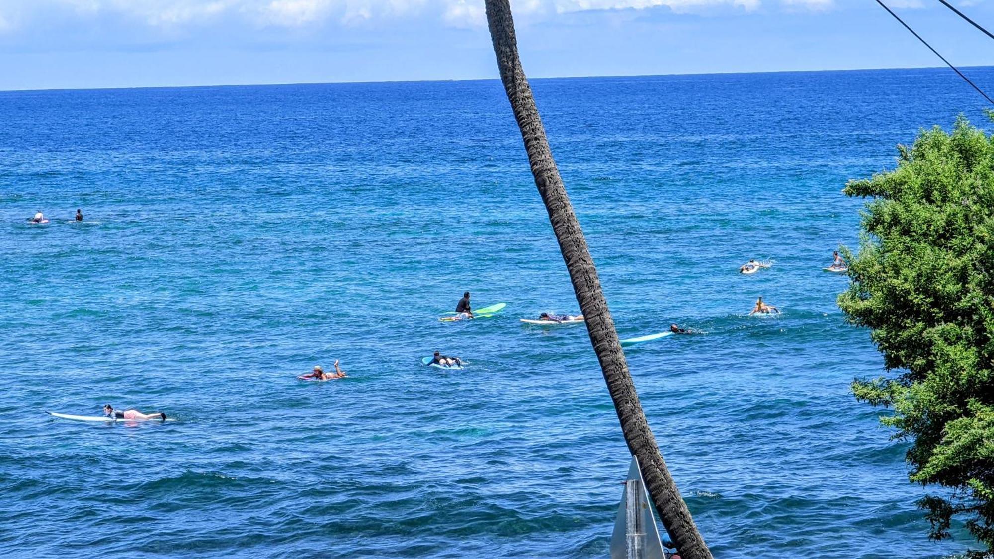 Seaspray Oceanview Leilighet Kailua-Kona Eksteriør bilde